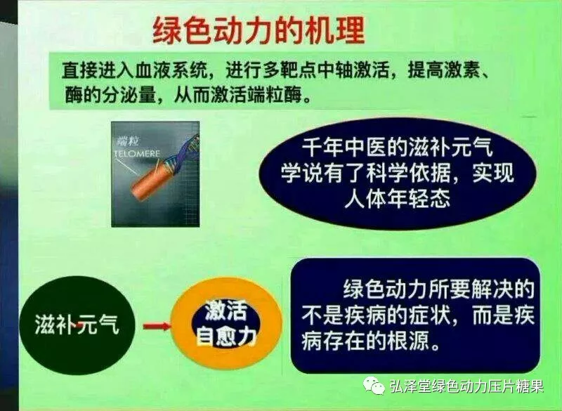 �����<a href=http://m.vsfix.cn/cp/shengming/1910.html target=_blank class=infotextkey>�Gɫ����</a>����