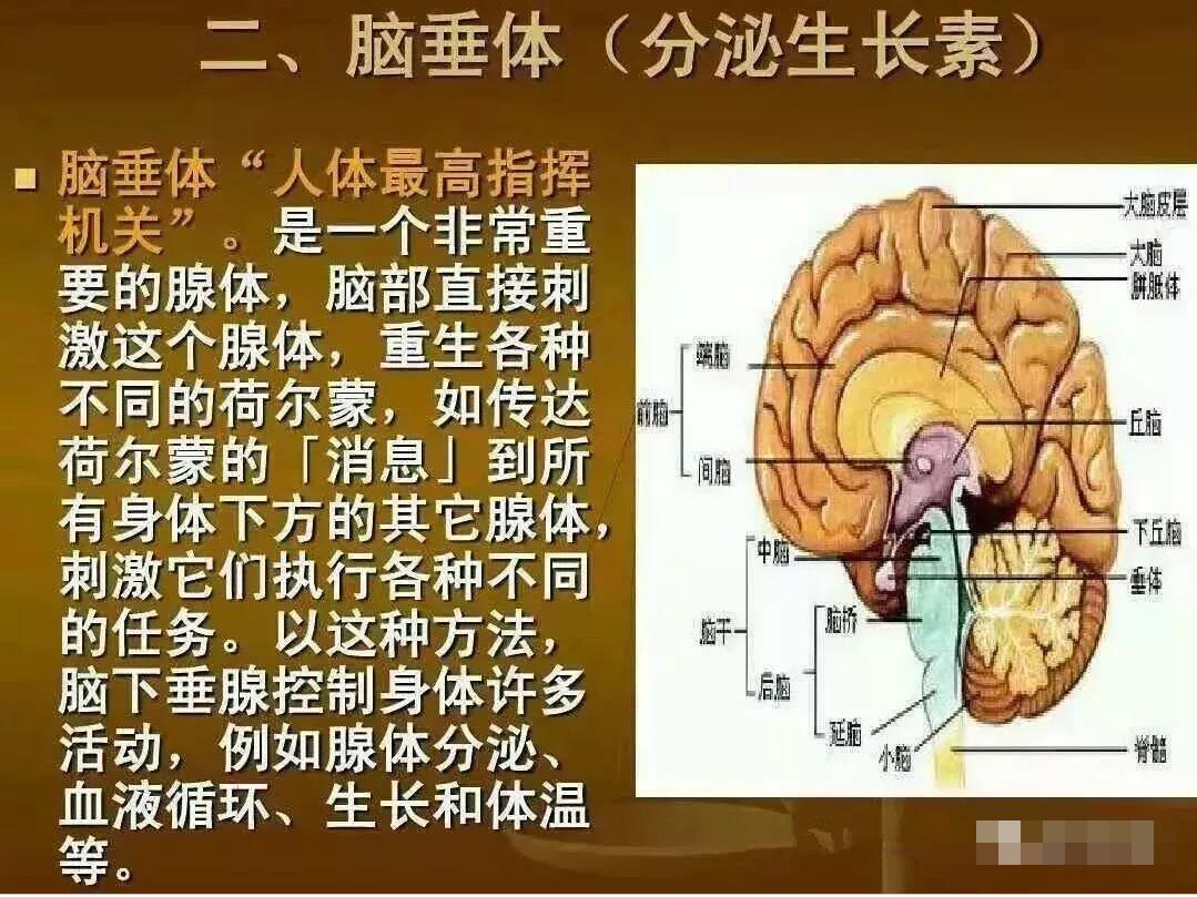 <a href=http://m.vsfix.cn/cp/shengming/1910.html target=_blank class=infotextkey>�Gɫ����</a>.jpg
