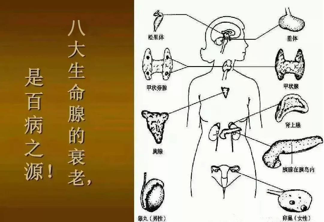 �|��<a href=http://m.vsfix.cn/cp/shengming/1435.html target=_blank class=infotextkey>��������</a>.jpg