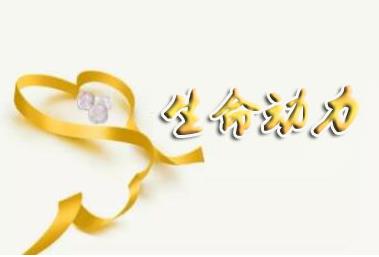 1554184949750319.jpg 1560575383115103.jpg