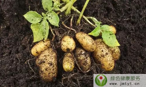 ���������˳�ʲô�B(y��ng)�� �@���c(di��n)��Ҫע��