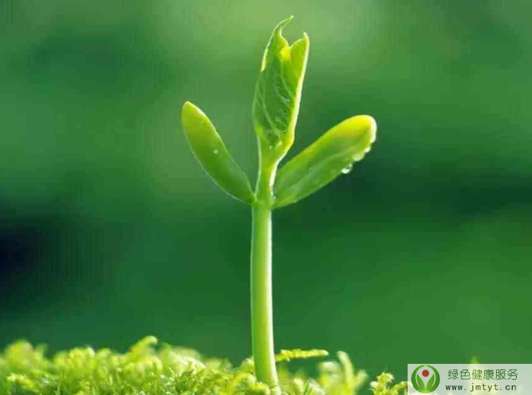 �����B(y��ng)��֮����Ԕ�ⴺ������B(y��ng)��