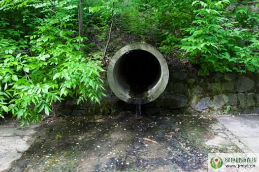 鐘南山為什么強調(diào)下水道