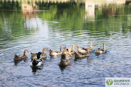 �㽭ʮ�fֻ���ӳ����ͻ�˹̹����Ȟ�(z��i)