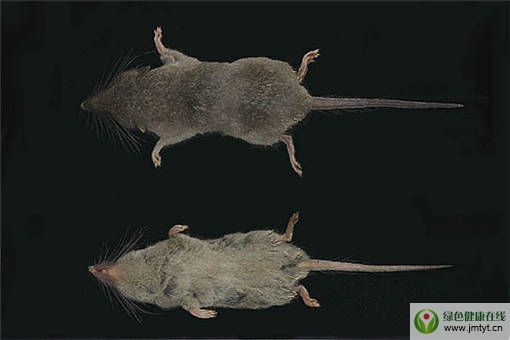 �����Sɽ�l(f��)�F(xi��n)�ɂ�(g��)���������N������������