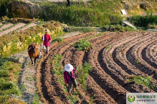 �R�Ć��}�������Q����