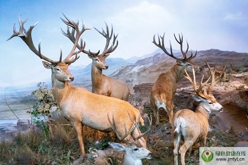 ������(d��ng)��@��(f��)�@