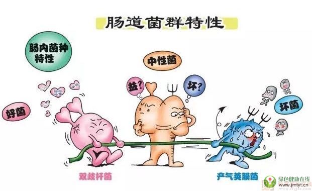 ��Ȼ�󶹵;���-�c���������ġ������ߡ�