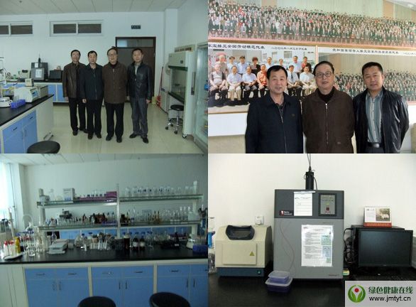 ��Ȼ����