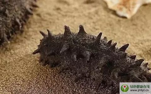 �����ĵĹ�Ч�c����