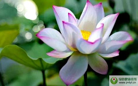 �߳ɲ������� �����o�B(y��ng)����Ҫ�{(di��o)�����{(di��o)Ϣ���{(di��o)��