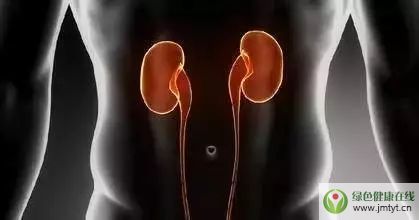 ���ٵ�˥�ϕr�g����ˣ���˥�Ϸ��������@����֪���翹˥��