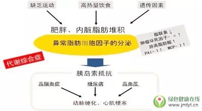 你該減的不只是肥,還有內臟脂肪! 你該減的不只是肥,還有內臟脂肪!